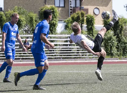 Lomma IP 2019-06-29