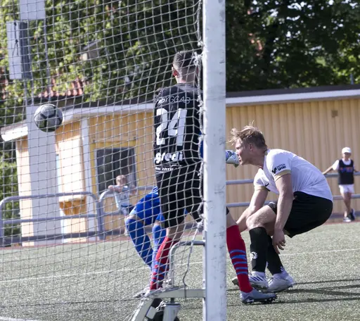 Lomma IP 2019-06-29