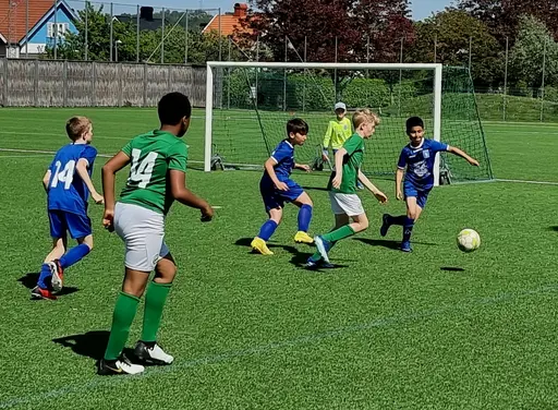 Foto: Mikael Molin