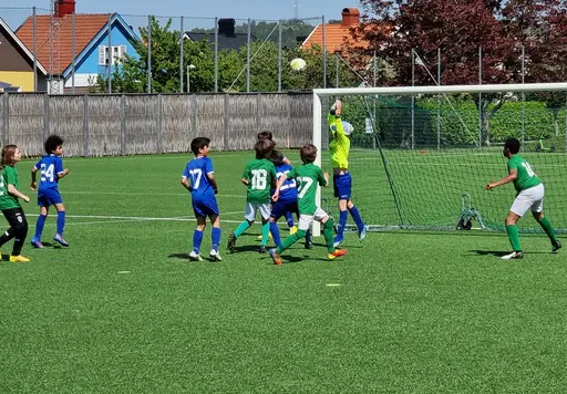 Foto: Mikael Molin