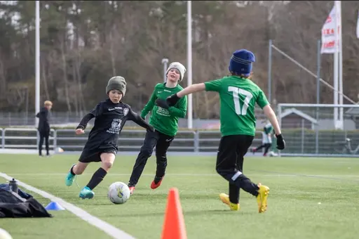 Foto: Anders Malm och Martin Engström 