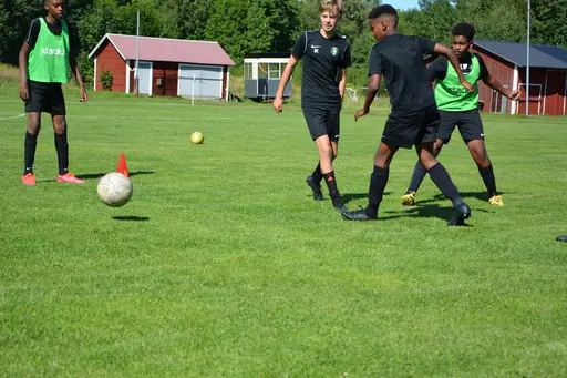 Några bilder från träningslägret augusti 2020