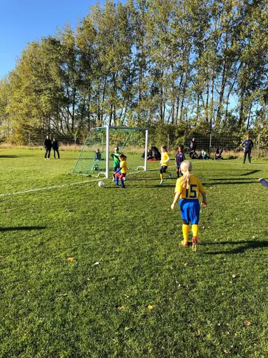 Det här året är tjejerna 7-8 år gamla och de spelar fortfarande 5-manna