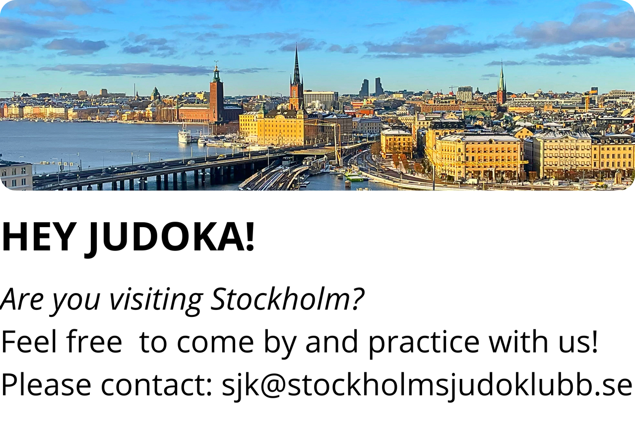 Stockholmsvy HEY JUDOKA are you visting Stockholm?