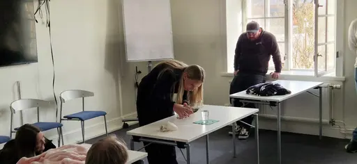 En eftermiddag med mycket skratt då vi körde Bäst i Test, åt asiatisk mat och laddade inför seriestarten nästa vecka