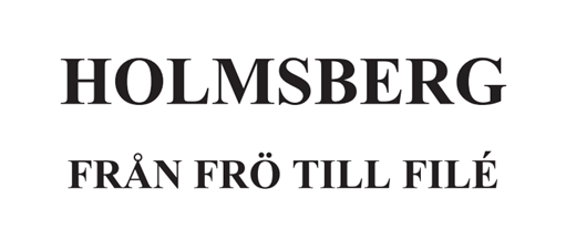 Holmsbergs
