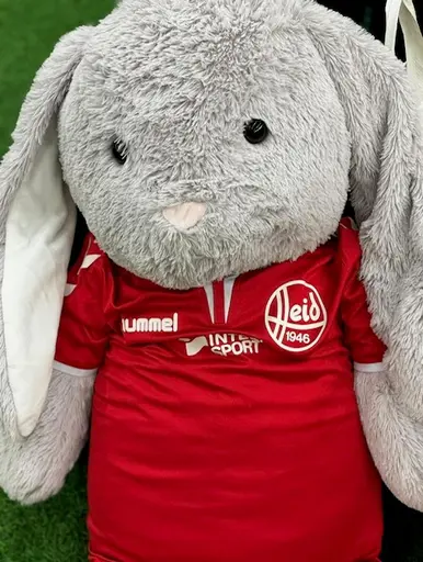 Ett av få utlänska lag vi mötte MTV Dänischenhagen. Med typ samma matchställ som oss :)