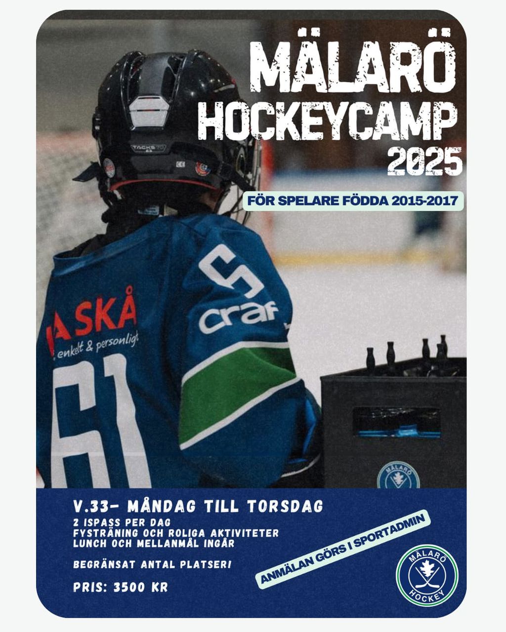 Sommar HockeyCamp