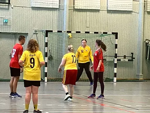 Bra jobbat! Kul! 