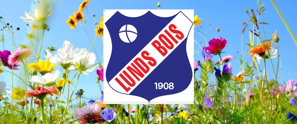Här är F13-lagets svar på Lunds BoIS fem sommarfrågor!