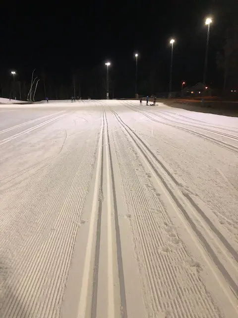 Bilden tagen idag måndagen den 17 januari.