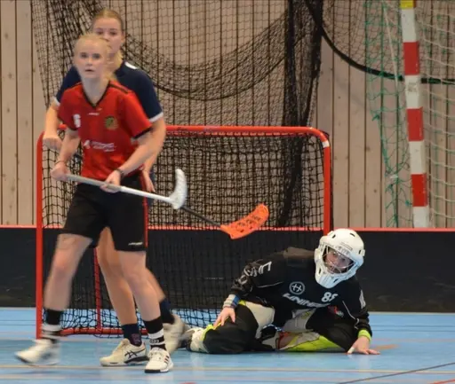 Målvakt Petra Dynesius assist