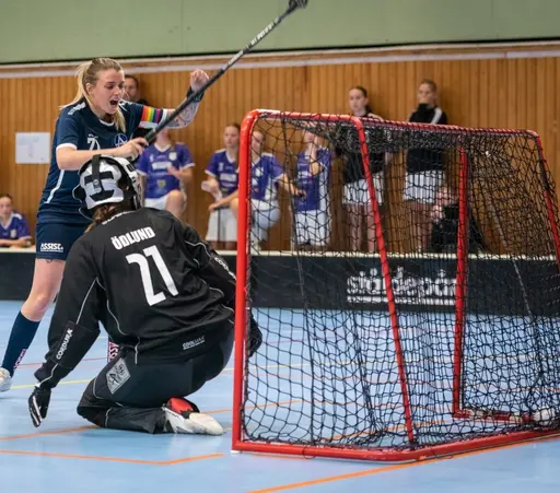 TACK! Fotograf M. Gotwall älvsjö aik F11