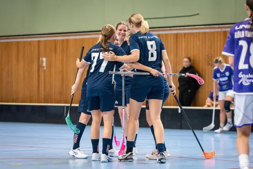 TACK! Fotograf M. Gotwall älvsjö aik F11