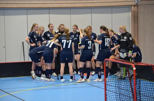 Målvakt Petra Dynesius assist