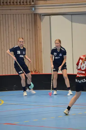 Målvakt Petra Dynesius assist