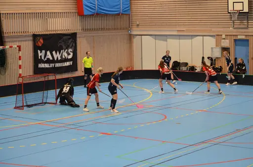 Målvakt Petra Dynesius assist