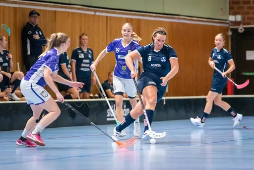 TACK! Fotograf M. Gotwall älvsjö aik F11