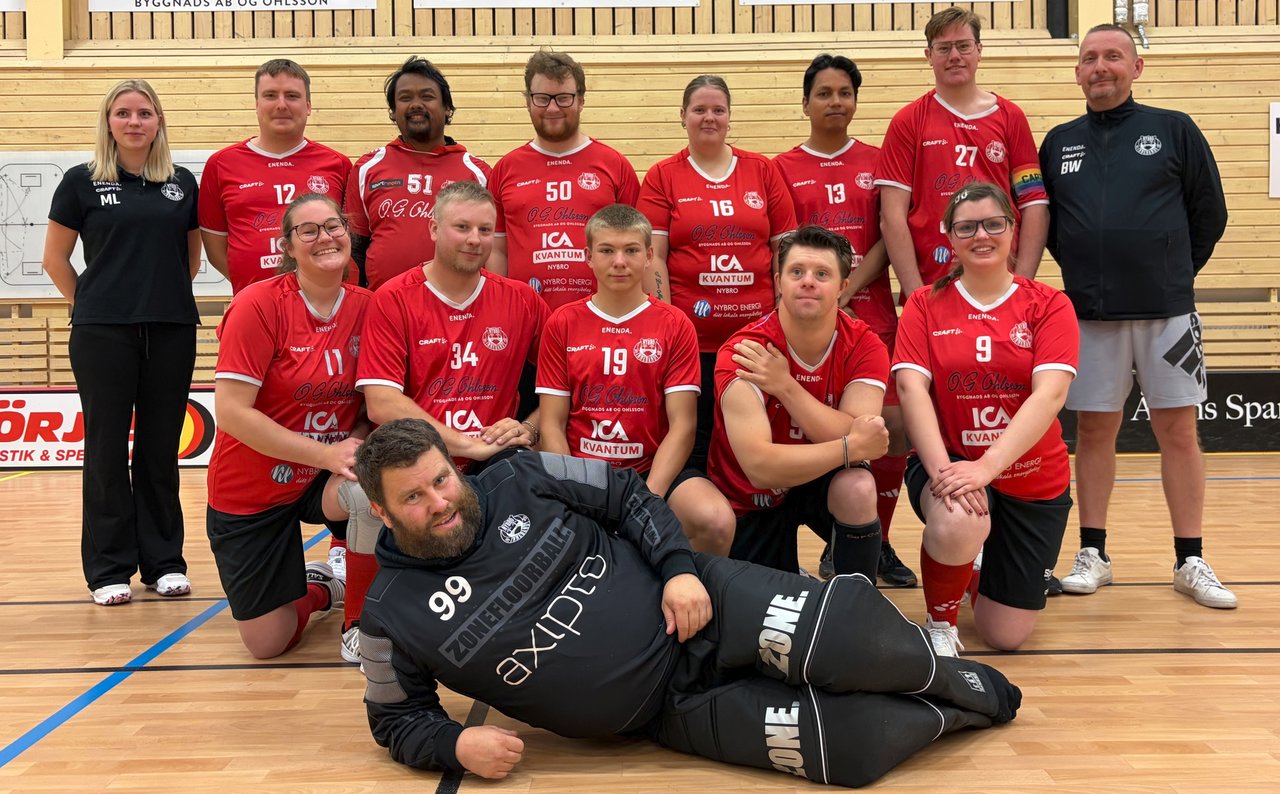 Div 2-gänget, fortsättningsgruppen
