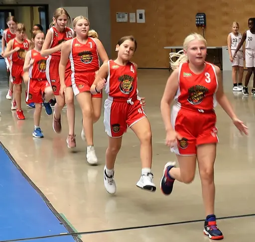 Uppvärmning*2, knuffen, var är bollen? och Inkasten*2
