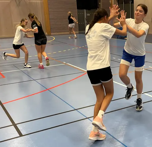 Lite "chicken-tävling" och samarbete