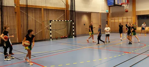 2 timmar med Individpresentationer, Bollbehandling, Diamond, Spel och Stress samt fika med frågesport - en härlig samträning med Alviks tjejer!