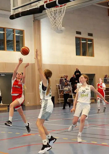 Avslutande seger mot Alvik Vit och klar serieseger i nivå 2 för supertjejerna!