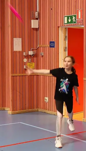 Brännboll och frisbee