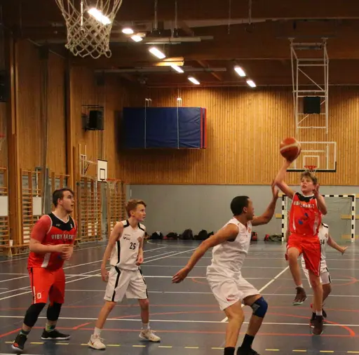 "Flying Albin"  (mot Uppsala - Feb 2018)