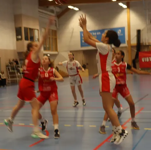 Supertjejerna mot Uppsala o Blacke i USM samt det proffsiga seket 😉