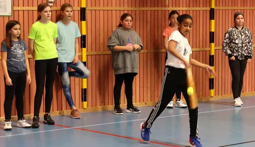 Brännboll och frisbee