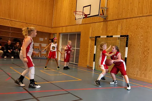 18/3-2017: Trots tufft motstånd under hela dagen, tappade Vibytjejerna aldrig sina glada miner. 