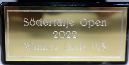 Guldpokalerna med medaljerna, segerskål!
