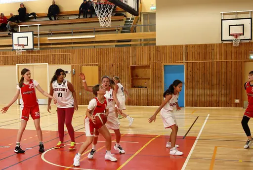 Avslutande seger mot Danderyd och klar serieseger i nivå 1 för supertjejerna!