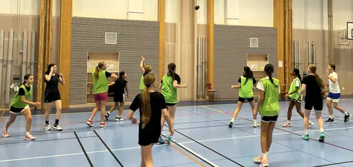 Amerikansk fotboll o Brännboll