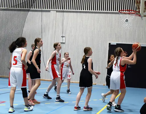 Supertjejerna in Action