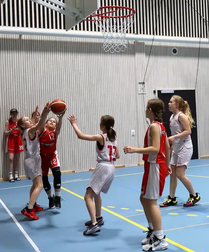 Supertjejerna in Action