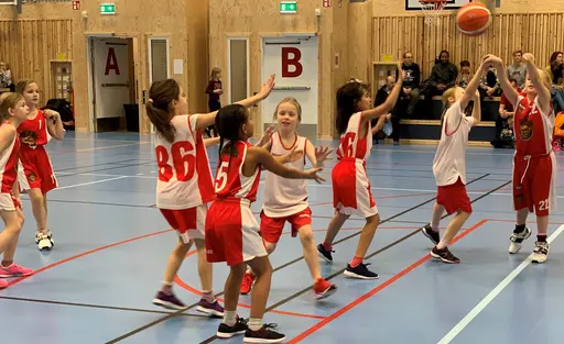 Supertjejerna stormar fram mot Duvbolagen!