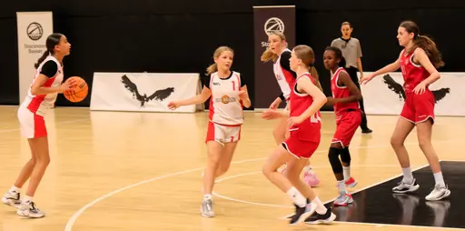 En jämn finalmatch i Fryshuset mot Duvbo slutade med knapp förlust och Silver