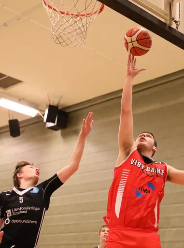 Kämparna mot Alvik och Östersund (fotograf Mats Anderson)