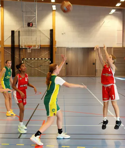 Supertjejerna besegrar Alvik igen