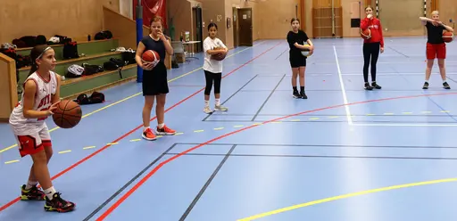 Skottävlingar