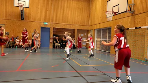 18/3-2017: Trots tufft motstånd under hela dagen, tappade Vibytjejerna aldrig sina glada miner. 