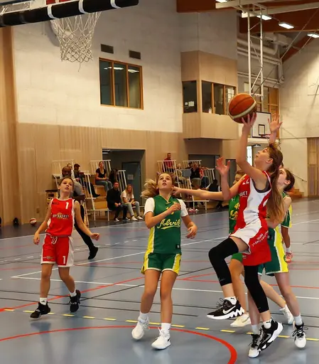 Supertjejerna besegrar Alvik igen