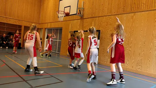 18/3-2017: Trots tufft motstånd under hela dagen, tappade Vibytjejerna aldrig sina glada miner. 