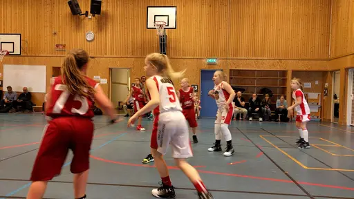 18/3-2017: Trots tufft motstånd under hela dagen, tappade Vibytjejerna aldrig sina glada miner. 