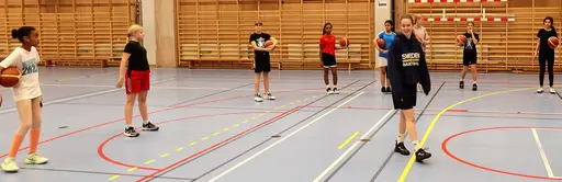 Skottävling, längdkast o Stress