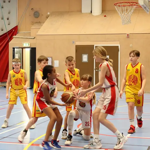 Full fart i Gamla Rotebrohallen mot Åkersbergas P10