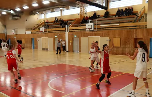 Avslutande seger mot Danderyd och klar serieseger i nivå 1 för supertjejerna!