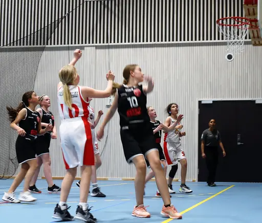Supertjejerna in Action